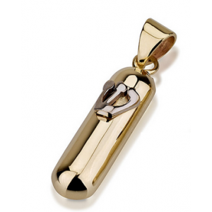 14k Yellow Gold Rounded Mezuzah Pendant with Hebrew Shin in Shiny White Gold  Colliers & Pendentifs