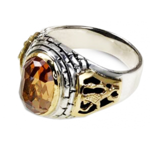Rafael Jewelry Sterling Silver Ring with Yellow Gold Lion of Judah & Jerusalem Motif and Champagne Stone Bagues Juives