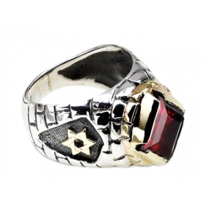 Rafael Jewelry Sterling Silver Ring with Yellow Gold Star of David and Jerusalem Motif & Garnet Bagues Juives