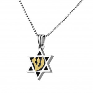 Star of David Pendant in Sterling Silver with Gold Shin by Rafael Jewelry Star of David Jewelry