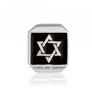 925 Sterling Silver Star of David Charm with a Black Enamel
 Charms