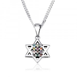 925 Sterling Silver Star of David with Hoshen Pendant and Stones
 Colliers & Pendentifs