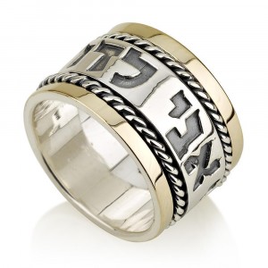 Ani Ledodi Spinning Ring in 14K Gold and Sterling Silver by Ben Jewelry Bagues Juives
