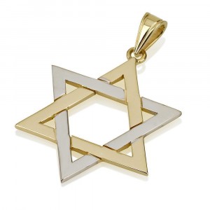Star of David Pendant in Two-Tone Gold Design by Ben Jewelry