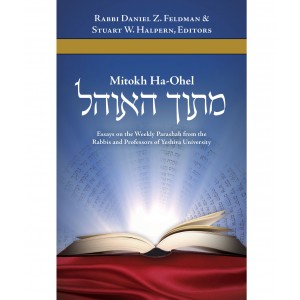 Mitokh Ha-Ohel: Essays on the Parsha from YU – Rabbi Daniel Feldman (Hardcover) Jewish Books