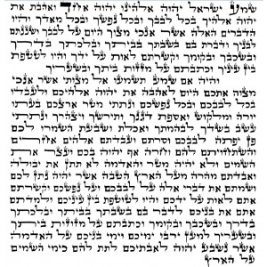 Sephardi Mezuzah Scroll, 15 cm