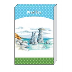 Hardcover Notebook with Large Dead Sea Illustration Jewish Souvenirs