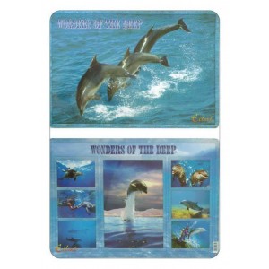 Diving Dolphins Placemat Placemats