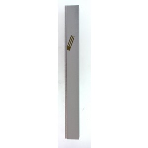 White Aluminum Mezuzah with Removable Panel and Gold Letter Shin by Adi Sidler Adi Sidler