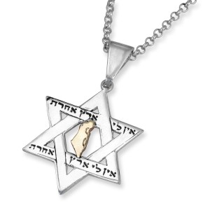 No Other Land Star of David Necklace Made From Sterling Silver and Gold Jour d'indépendance d'Israël