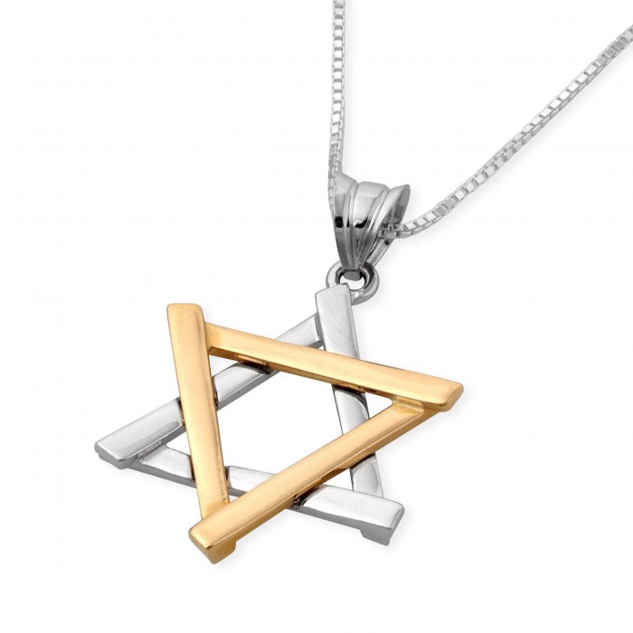 Star of David Pendant in 14k Yellow and White Gold by Estee Brook