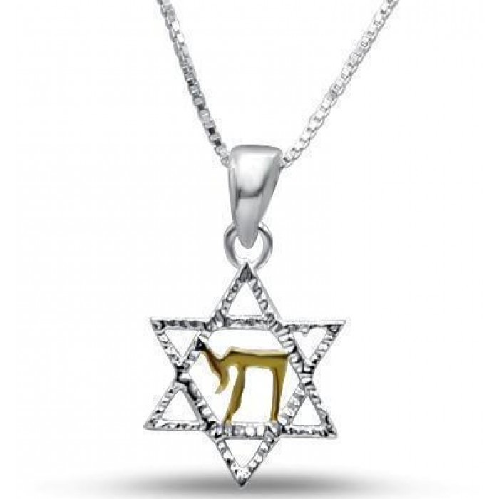 Star of David Necklace in Sterling Silver with Gold-Plated Chai
