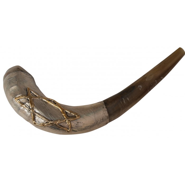Ram Horn Shofar with Silver Plate and Star of David