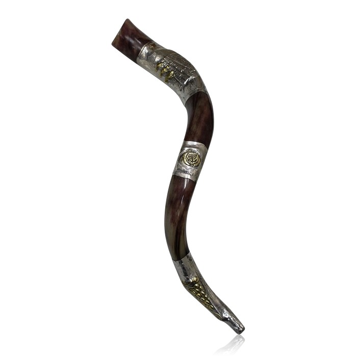 Decorative Polished Kudu Horn Shofar with Sterling Silver Plates