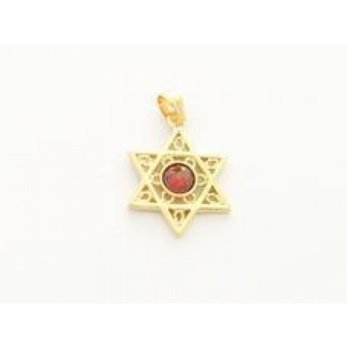 Pendant with Gold Plated Star of David and Garnet Stone