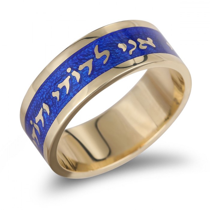 Blue Enamel and 14K Gold Ani LeDodi Ring by Anbinder