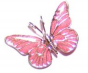 Broche Papillon - Fond Rose Vif