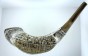 Two-Toned Sterling Silver Shofar with Jerusalem Scenery and English Text