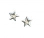 Silver Star Studded Earrings