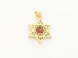 Pendant with Gold Plated Star of David and Garnet Stone